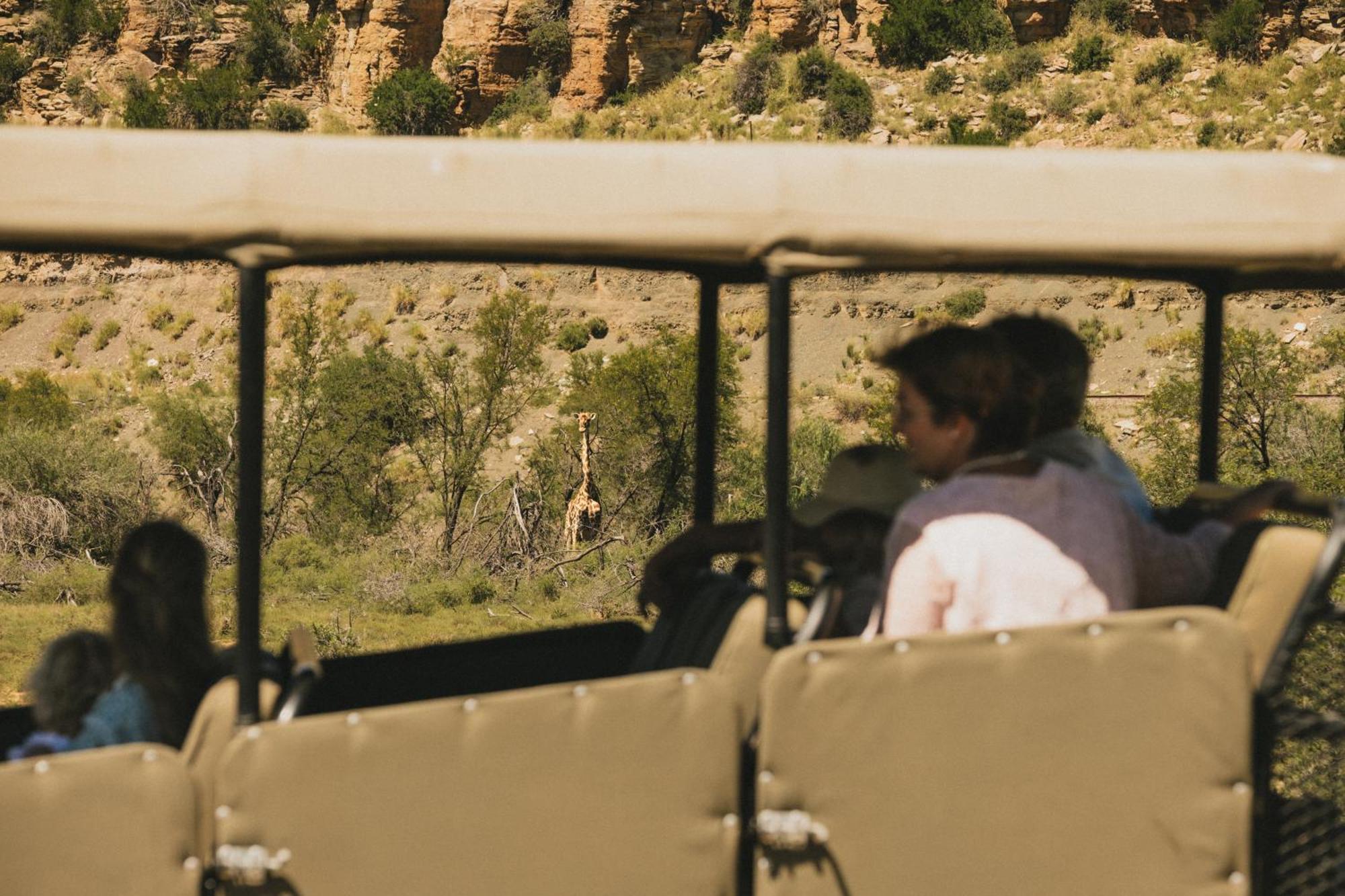 Buccara Wildlife Reserve Graaff-Reinet Extérieur photo